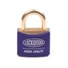 Lockwood 30mm Body 19mm Shackle Opening 110 Series Padlock
