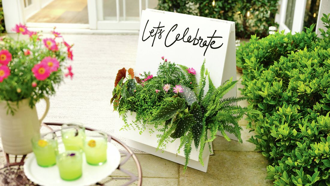 A white planter box filled with green plants and pink flowers, with a white welcome sign behind it that reads "Let's Celebrate". [[2609] MAK...me sign_V1 | Word]