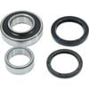 Rear Wheel Bearing Kit For Suzuki Grand Vitara Td62 Xl-7 Tx92 Se416