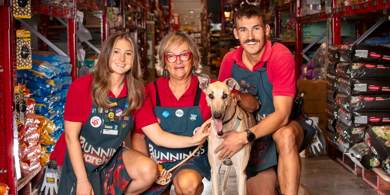 team members at a bunnings store with a dog 