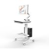 Screenmounts Mobile Work Station With Cpu And Monitor Mount Utility Cart Mcs3