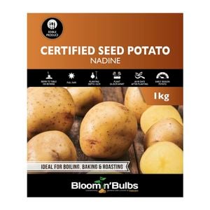 Bloomin' Bulbs 1kg Seed Potato Nadine