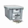 NZ Nail 30 x 2.8mm 316 Stainless Steel Flat Head Nail - 5kg Box