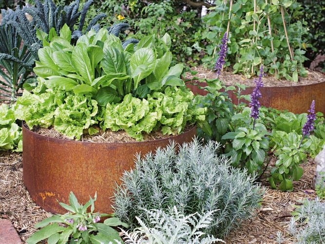 Plants in a rusted looking planter pot