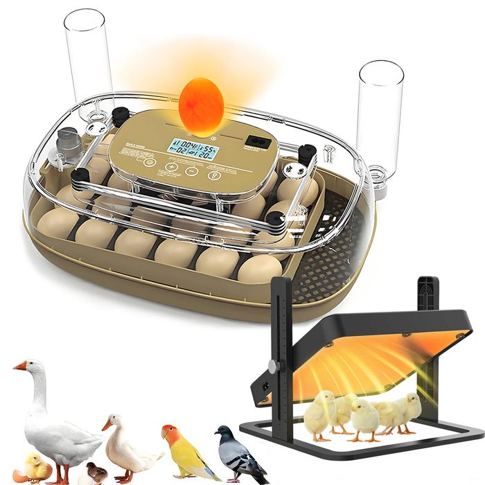 Advwin 24 Egg Incubator Automatic Turning + Chick Brooder Heating Plate