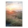 Sunset On Danish Sea  Print 100% Australian Made 60 x 90cm  (Acrylic)