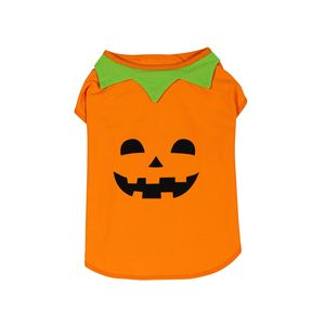 Happy Tails Large Jack-O-Lantern Halloween Pet Costume