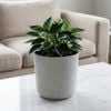 Moda 180mm White Stonelite Sphere Planter