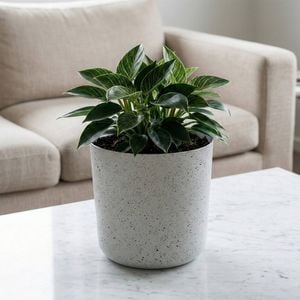 Moda 180mm White Stonelite Sphere Planter