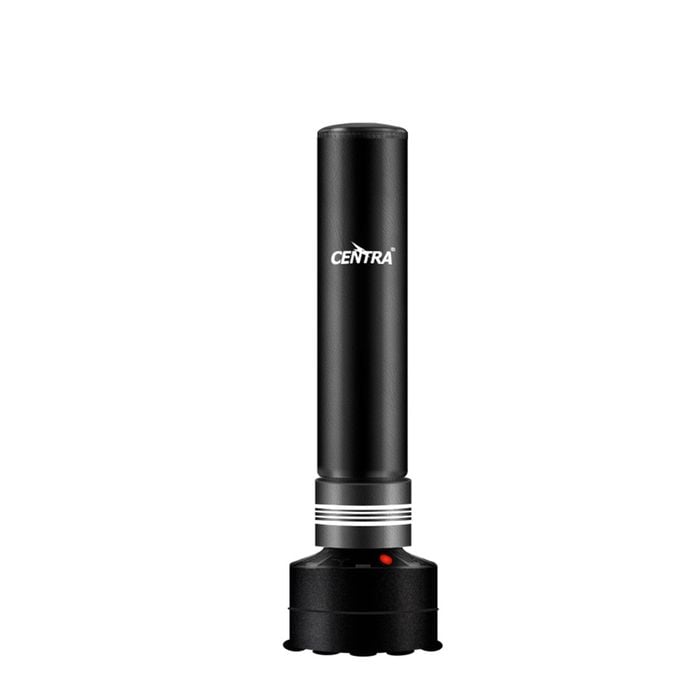 Centra 170CM Freestanding Punching Bag with Kickboxing Bag Black
