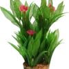 Aqua One Madagascar Lace W/Gravel Base Plastic Plant - Med (28194)