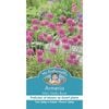 Mr Fothergill's Armeria Mini Sticks Rose Seeds