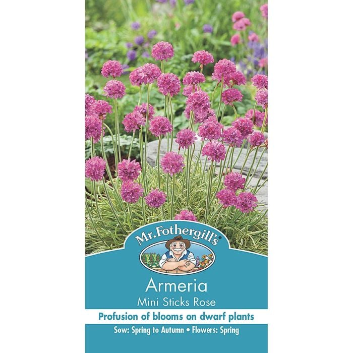 Mr Fothergill's Armeria Mini Sticks Rose Seeds