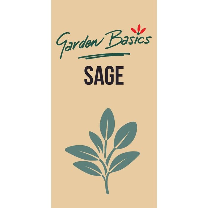 Garden Basics Sage Seeds