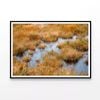 Waterlogged Grassland in summer  Print 100% Australian Made 90x60cm  (Poster)