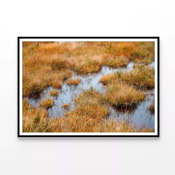 Waterlogged Grassland in summer  Print 100% Australian Made 90x60cm  (Poster)