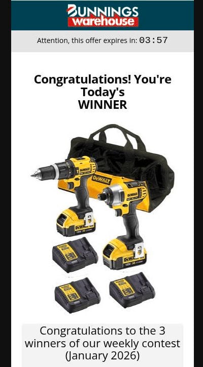 Bunnnings scam with Dewalt drills and a toolbag.