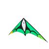 Green Stunt Kite With 2 Control Lines
