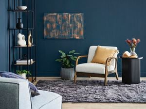 A bold blue and orange canvas print mounted on the wall, cream chair, grey rug and indoor plant
