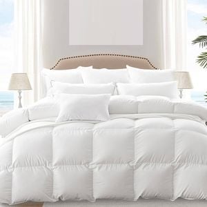 Dreamz 700GSM All Season Goose Down Feather Quilt King Single