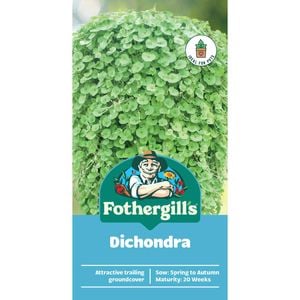 Fothergill's Dichondra Seeds