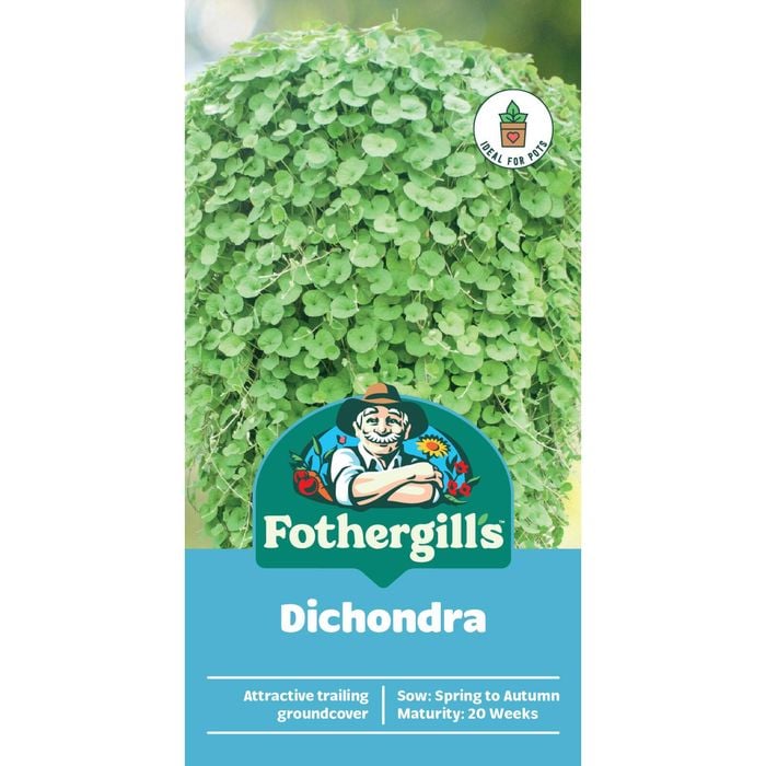 Fothergill's Dichondra Seeds
