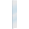 ProtectorAl 250 x 1200 x 12mm Glass Pool Fence Panel