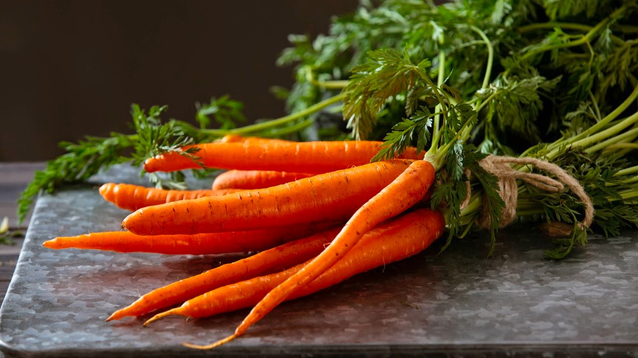 Heap of ripe carrots with leaves on dark rustic table
