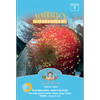 Mr Fothergill's Australian Bush Rose Flower Seeds