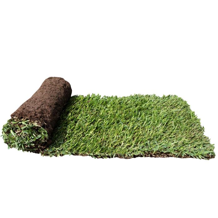 Lawn Solutions Australia 1m² Sir Walter DNA Certified Buffalo Turf