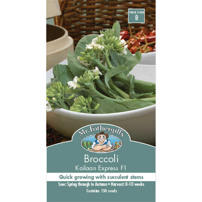 Mr Fothergill's Kailaan Broccoli Vegetable Seeds