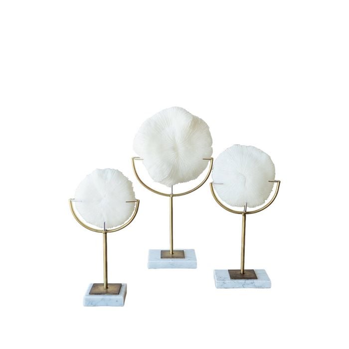 Darlin Resin/Metal 20x38cm Bloom Faux Coral on Stand Large White/Gold