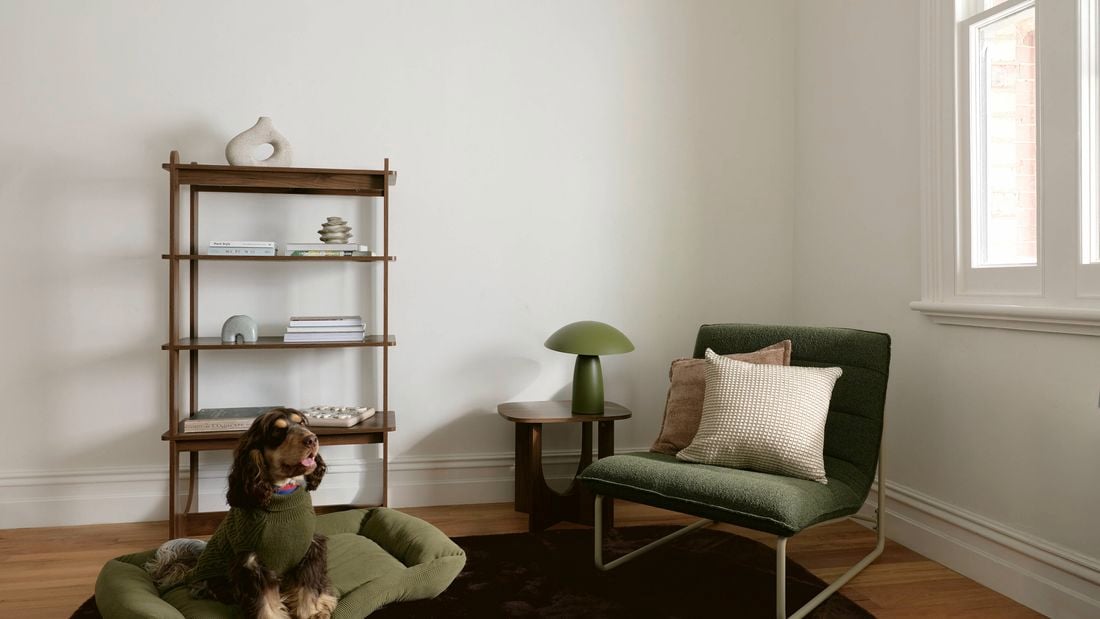 Living space with an armchair, bookshelf, side table lamp and a large dark rug anchoring the seating area.