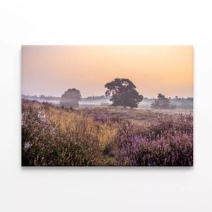 Purple Flowers with Trees  Print 100% Australian Made 150 x 100cm  (Stretched)