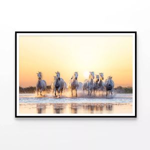Herd Of Horses Running on Water  Print 100% Australian Made 90x60cm  (Poster)