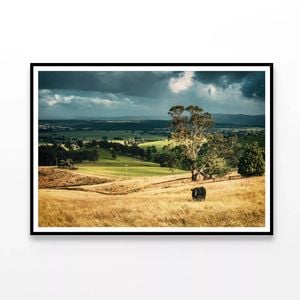 Grassland with Trees, Mountains  Print 100% Australian Made 120x90cm  (Poster)