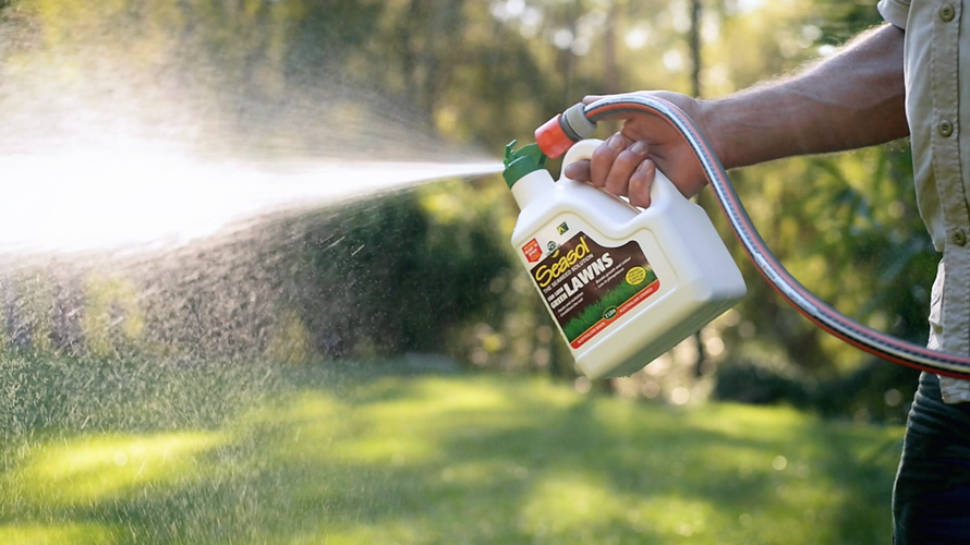Person spraying grass with lawn food bottle attached to garden hose