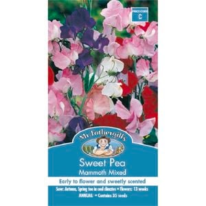 Mr Fothergill's Sweet Pea Mammoth Mixed Seeds