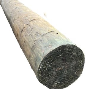 125 - 150mm 1.8m Pole Treated Pine