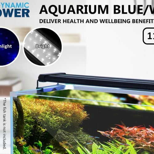 Fish tank accessories bunnings hotsell