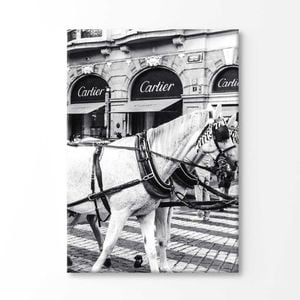 Black And White Horse with Fashion Store Print 100% Australian Made 150x100cm (Stretched Canvas)
