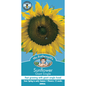Mr Fothergill's Sunflower Giant Single Seed
