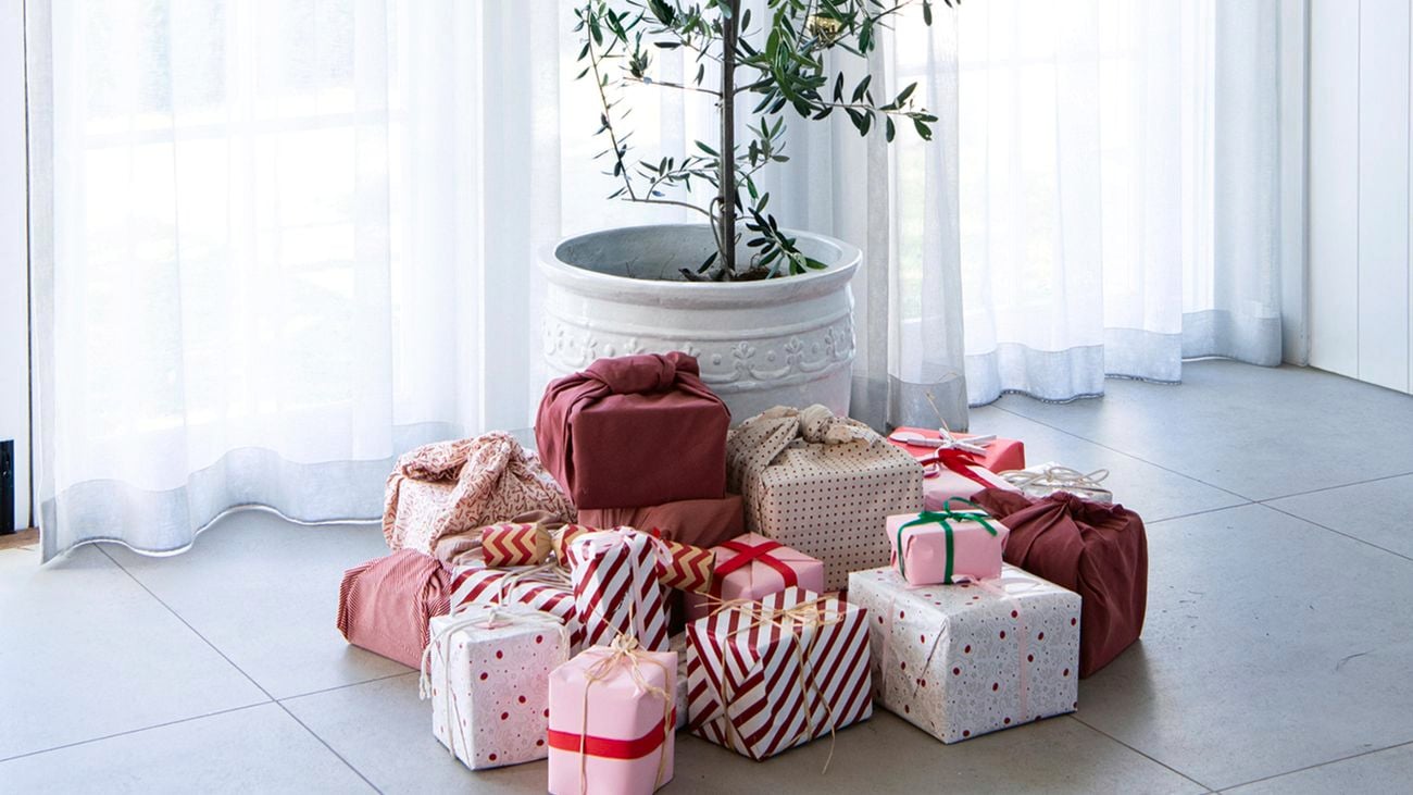 White pot with olive tree, surrounded by gifts.