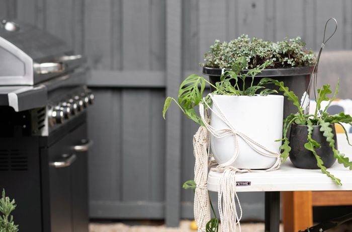 A selection of potted plants sitting on an outdoor table