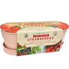 Mr Fothergill's Strawberry Windowsill Tin