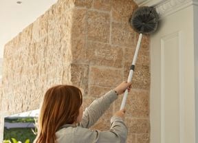  The back of a female using a brush with an extended handle to spring clean a ceiling corner 