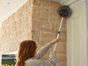  The back of a female using a brush with an extended handle to spring clean a ceiling corner 