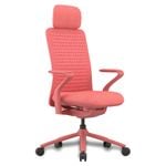 Desky Pro Ergonomic Mesh Chair - Coral / Headrest