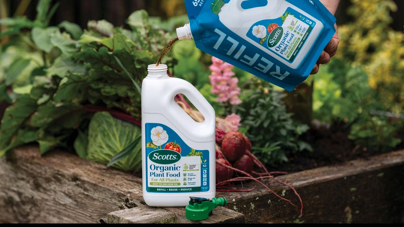 Organic plant food refill being poured into a reusable container.