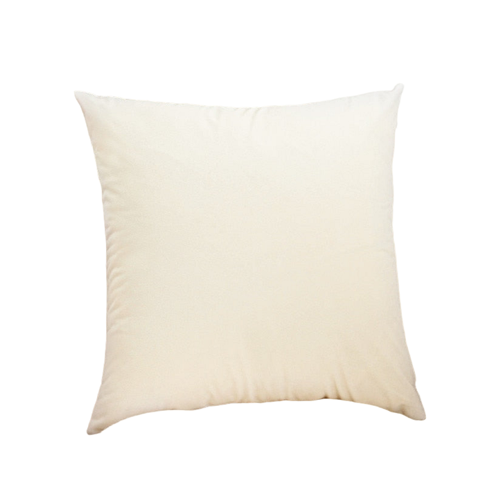 Velvet Pillow Cases Cushion Cover(2-Cream)30cmx50cm
